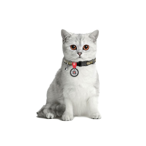 Ошейник для котов нейлоновый WAUDOG Nylon c QR-паспортом, рисунок "Милитари", пластиковый фастекс, XS, Ш 10 мм, Дл 20-30 279-4026 фото