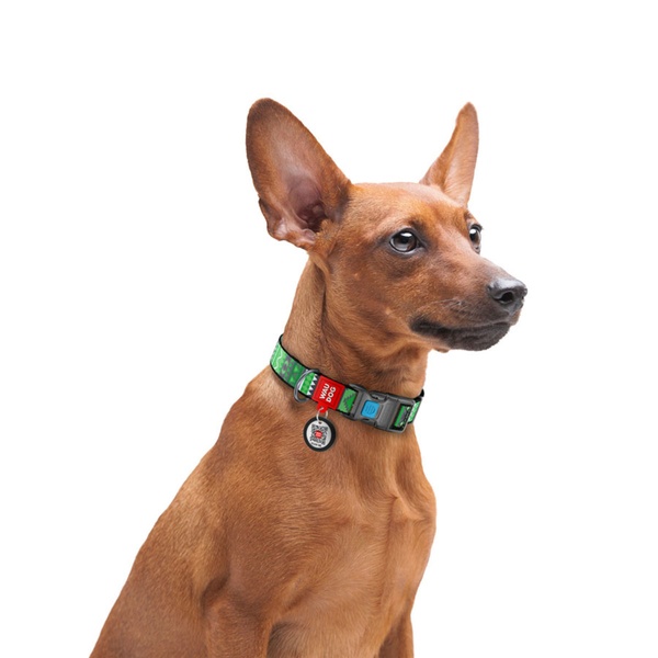 Нашийник для собак з QR паспортом Етно зелений, пластиковий фастекс Waudog, S 4632 фото