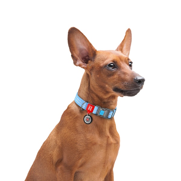 Нашийник для собак світловідбиваючий з переробленої бавовни з QR паспортом, пластиковий фастекс Waudog, S, блакитний 02862 фото