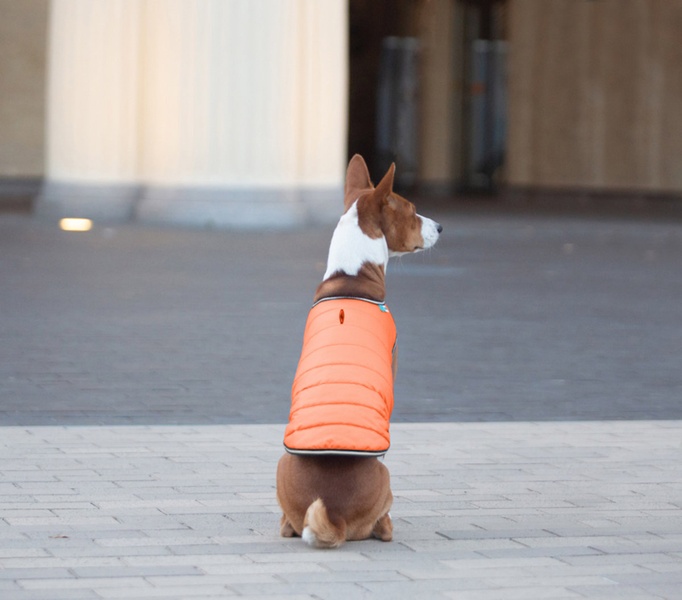 Курточка-накидка для собак AiryVest, XXS, B 29-36 см, С 14-20 см оранжевый 15404 фото