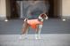 Курточка-накидка для собак AiryVest, XXS, B 29-36 см, С 14-20 см оранжевый 15404 фото 5