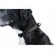 Нашийник для собак Evolutor, чорний 42431 фото 4