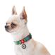 Нашийник для собак з QR паспортом Етно зелений, пластиковий фастекс Waudog, S 4632 фото 3