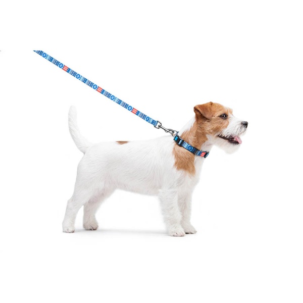 Поводок для собак нейлоновый WAUDOG Nylon, рисунок "Этно синий", Ш 10 мм, Дл 122 см 5235 фото