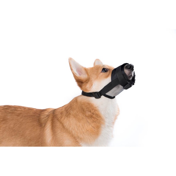 Намордник нейлоновый "Dog Extreme" регулируемый с сеткой №1 (А:14-20см) (йорк, пудель, кокер-спаниель, шпиц) 4320 фото
