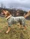 Ветровка для собак WAUDOG Clothes, рисунок "Милитари", XS22, В 30-34 см, С 19-21 см 385-4026 фото 4
