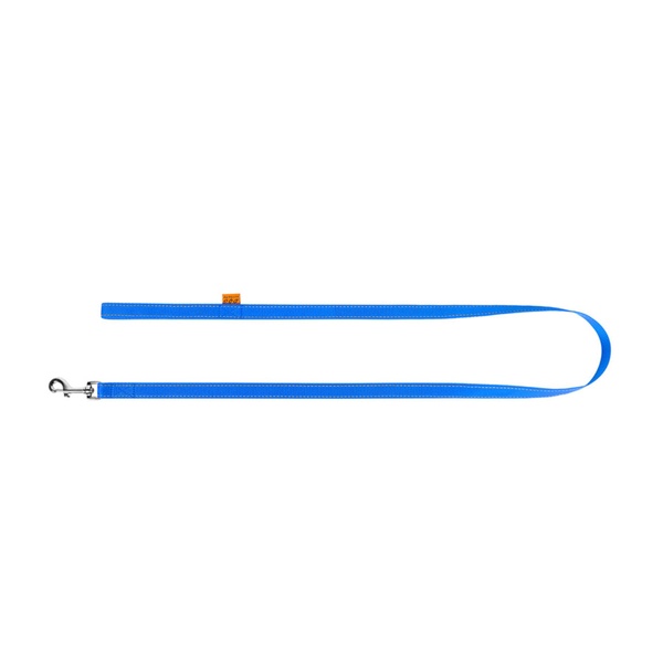 Поводок "Dog Extreme" нейлоновый (ширина 14мм, длина 150см) голубой 04592 фото