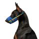 Намордник для собак WAUDOG Nylon, рисунок "Colors of freedom", пластиковый фастекс, размер S, О 14-20 см 350-4020 фото 3