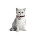 Ошейник для котов нейлоновый WAUDOG Nylon c QR паспортом, рисунок "Витраж", пластиковый фастекс, Ш 10 мм, Дл 20-30 см 5265 фото 3