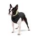 Курточка для собак AiryVest двусторонняя, размер XS 22, cалатово-черная 1716 фото 4