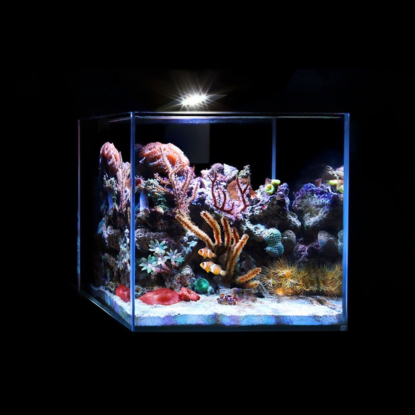 Світлодіодний світильник AquaLighter Nano Marine (для морського акваріуму до 20л) 12000К 8228 фото