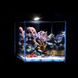 Светодиодный светильник AquaLighter Nano Marine (для морского аквариума до 20л), 12000К, 380 люм 8228 фото 5