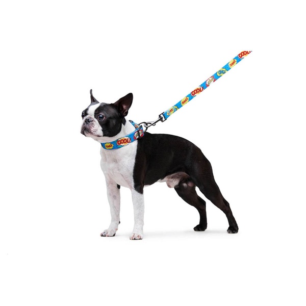 Поводок для собак нейлоновый WAUDOG Nylon, рисунок "ВАУ", Ш 15 мм, Дл 122 см 4889 фото