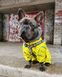 Комбинезон для собак WAUDOG Clothes рисунок "Смелость", XS22, В 29-31 см, С 19-21 см 5422-0231 фото 6