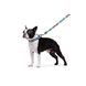 Поводок для собак нейлоновый WAUDOG Nylon, рисунок "ВАУ", Ш 15 мм, Дл 122 см 4889 фото 6