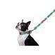 Поводок для собак нейлоновый WAUDOG Nylon, рисунок "ВАУ", Ш 15 мм, Дл 122 см 4889 фото 4