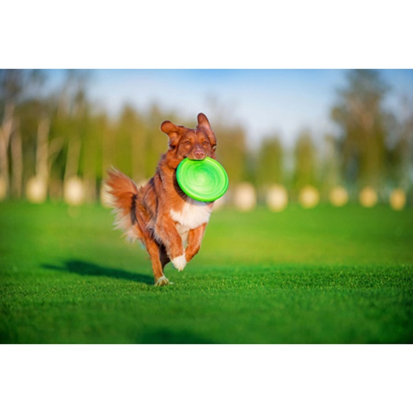 Іграшка для собак Летючий диск Flyber 62175 фото
