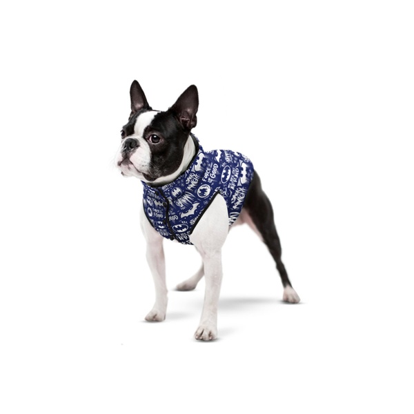 Курточка для собак WAUDOG Clothes с рисунком "Бэтмен бело-голубой", XS22, В 33-36 см, С 19-22 см 0922-4001 фото