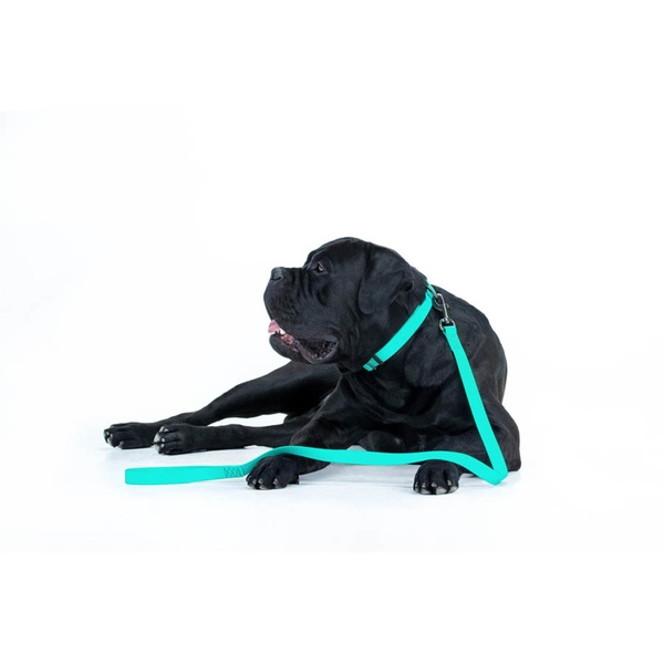 Повідець для собак водостійкий, світлонакопичувальний Waudog, 1,2 м * 1,5 см 2730 фото