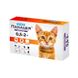 СУПЕРИУМ Панацея, противопаразитарные таблетки для котов 0,5-2 кг 9126 фото 1