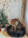 Лежанка для котів і собак зі змінною подушкою Бетмен 2 Waudog, S 224-0151 фото 5