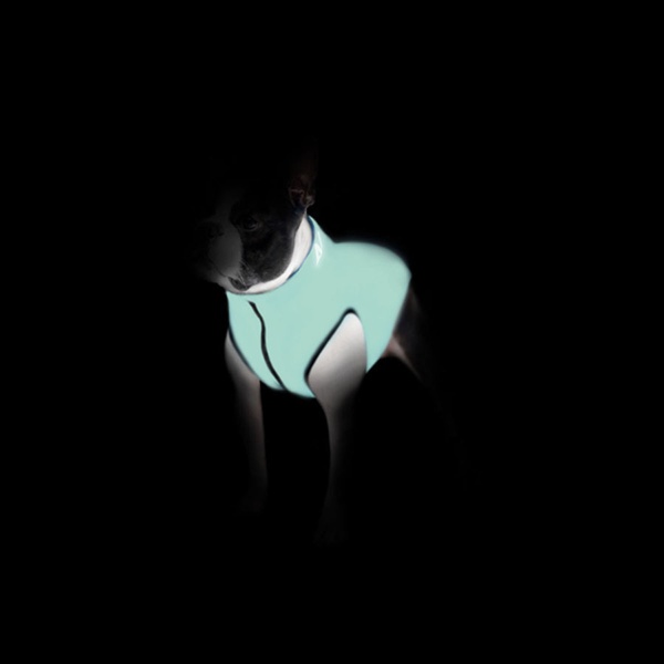 Курточка для собак AiryVest Lumi двусторонняя, светящаяся, размер XS 22, салатово-оранжевая 2112 фото