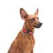 Нашийник для собак з QR паспортом Етно червоний, металевий фастекс Waudog, S 5196 фото 4