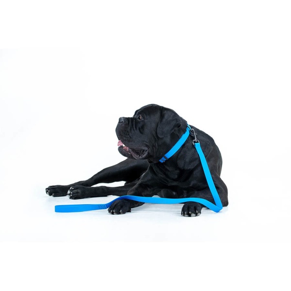 Повідець для собак водостійкий Waudog, 1,2 м * 1,5 см, блакитний 27312 фото