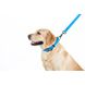 Повідець для собак водостійкий Waudog, 1,2 м * 1,5 см, блакитний 27312 фото 3