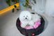 Лежанка для собак WAUDOG Relax, рисунок "Чудо-женщина", со сменной подушкой, S, Ш 34 см, Дл 45 см, В 17 см 224-2007 фото 5