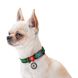 Нашийник для собак з QR паспортом Клітинка зелена, пластиковий фастекс Waudog, S 4698 фото 3