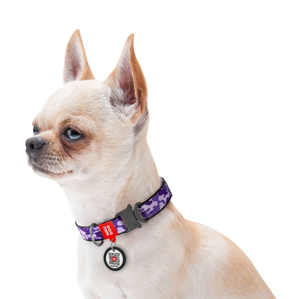 Нашийник для собак з QR паспортом Фіолетовий камо, металевий фастекс Waudog, S 5100 фото