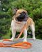 Повідець для собак водостійкий, світловідбиваючий Waudog, 1,2 м * 1,5 см, помаранчевий 26034 фото 3