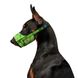 Намордник для собак WAUDOG Nylon, рисунок "Авокадо", пластиковый фастекс, размер №1, О 14-20 см 5366 фото 3