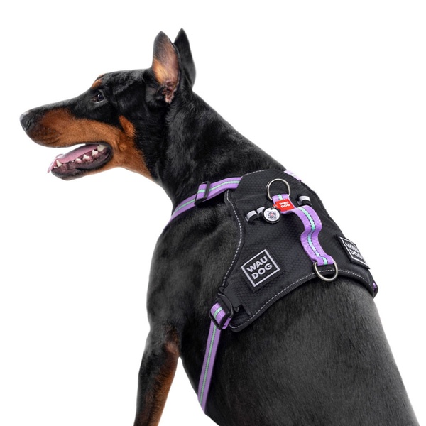 Шлея для собак безпечна з QR паспортом, металевий фастекс Waudog, S, фіолетовий 52479 фото