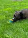Іграшка для собак Слон Waudog, рожевий 62047 фото 3