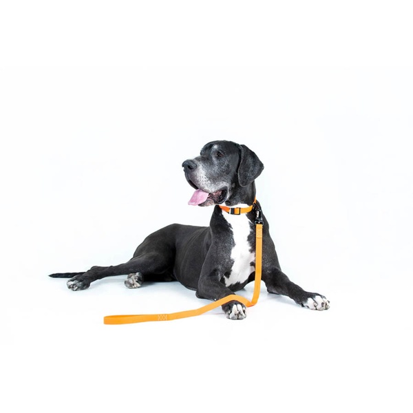 Игрушка для собак Лиса с большой пищалкой GiGwi Plush, плюш, искусственный мех, 18 см 42104 фото