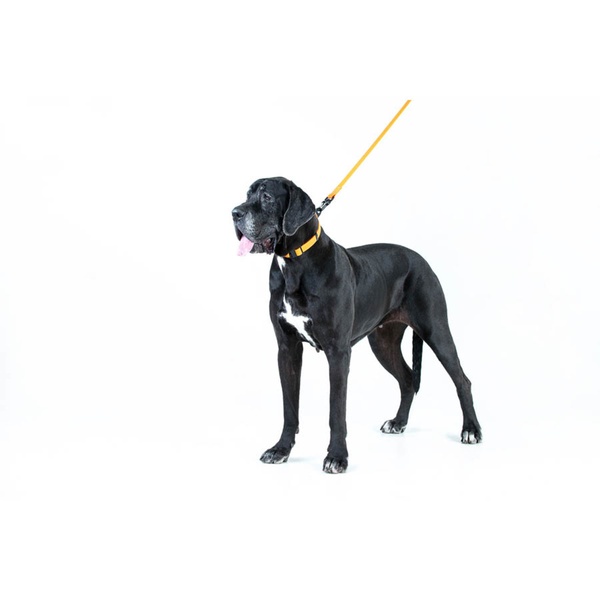 Игрушка для собак Лиса с большой пищалкой GiGwi Plush, плюш, искусственный мех, 18 см 42104 фото