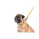 Игрушка для собак Лиса с большой пищалкой GiGwi Plush, плюш, искусственный мех, 18 см 42104 фото 6