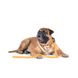 Игрушка для собак Лиса с большой пищалкой GiGwi Plush, плюш, искусственный мех, 18 см 42104 фото 7