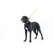 Игрушка для собак Лиса с большой пищалкой GiGwi Plush, плюш, искусственный мех, 18 см 42104 фото 4
