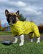 Дощовик для собак Сміливість Waudog, XS 22 5322-0231 фото 3