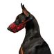 Намордник для собак WAUDOG Nylon, рисунок "Шотландка красная", пластиковый фастекс, размер №1, О 14-20 см 5374 фото 3