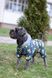 Комбинезон для собак WAUDOG Clothes рисунок "Дом", XS22, В 29-31 см, С 19-21 см 5422-0230 фото 6
