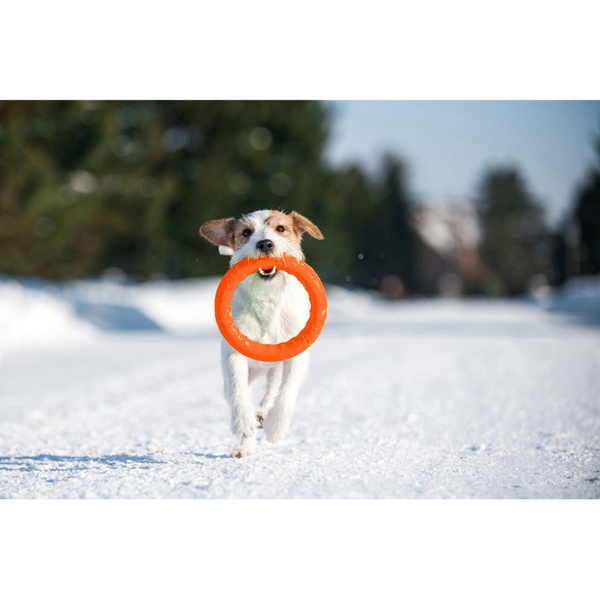 Іграшка для собак Кільце Pitchdog, 17 см, помаранчевий 62364 фото