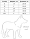 Нашийник для собак водостійкий, світлонакопичувальний з QR паспортом, металевий фастекс Waudog, S 2799 фото 7