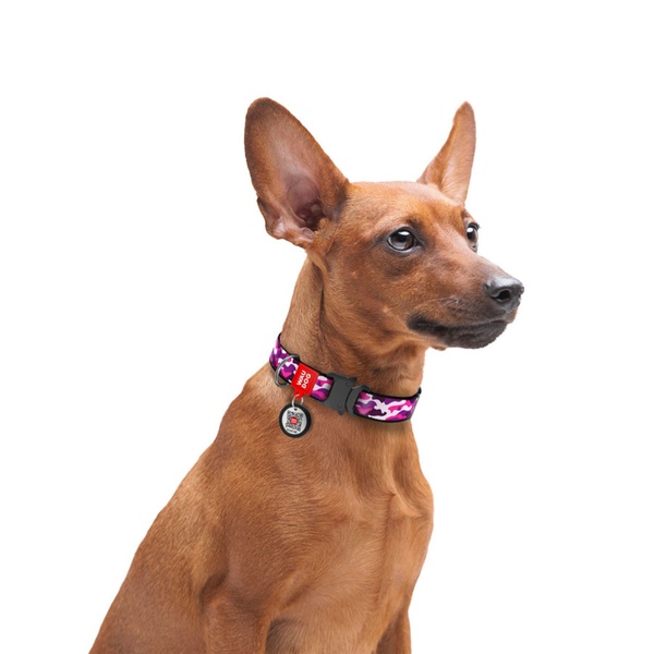 Нашийник для собак з QR паспортом Рожевий камо, металевий фастекс Waudog, S 5095 фото