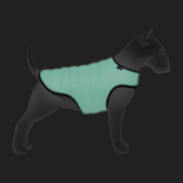 Курточка-накидка для собак AiryVest Lumi светящаяся, XXS, А 23 см, B 29-36 см, С 14-20 см 5513 фото
