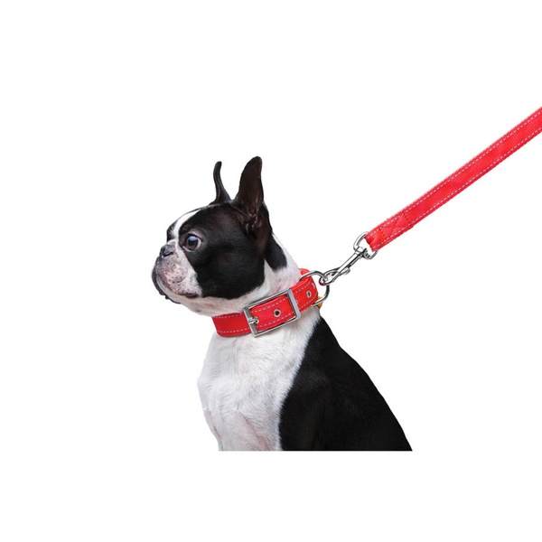 Повідець для собак подвійний Dog Extreme, S, червоний 43003 фото