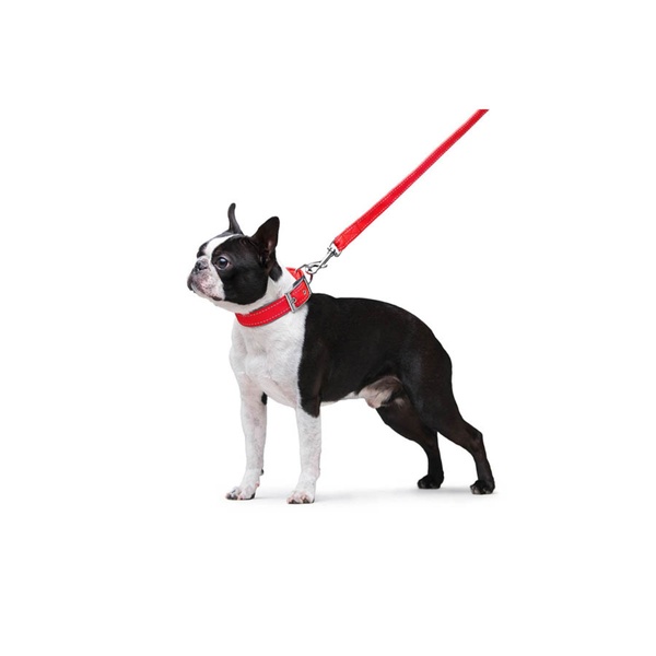 Повідець для собак подвійний Dog Extreme, S, червоний 43003 фото